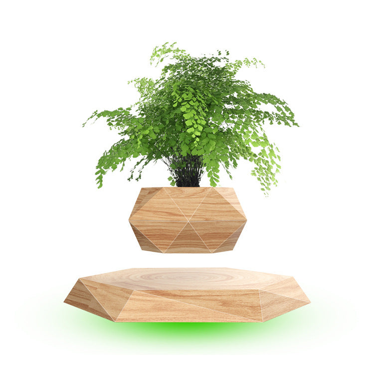 Floating Magnetic Bonsai Plant Rack