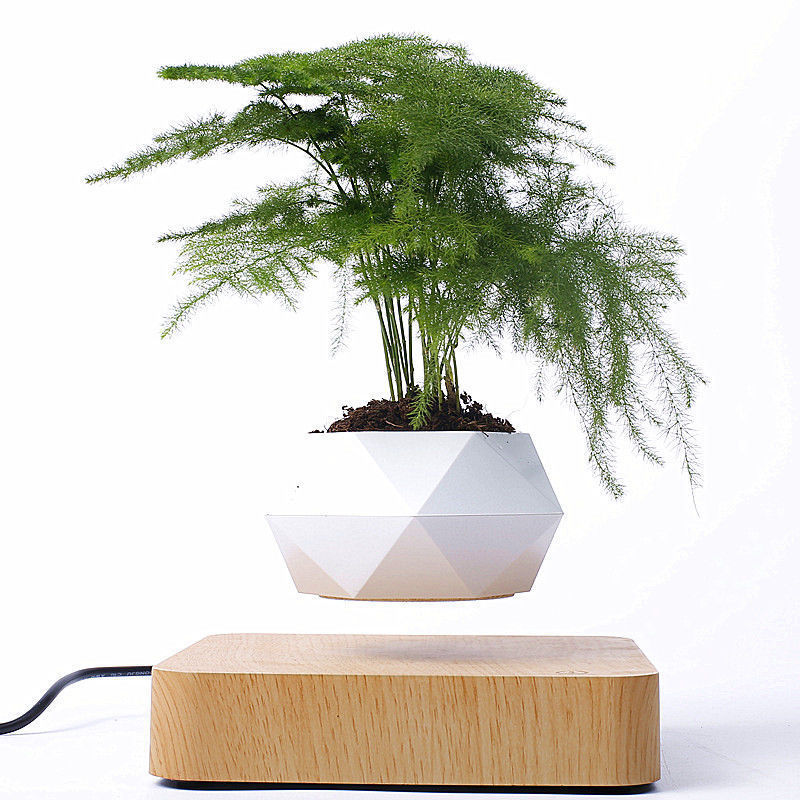 Floating Magnetic Bonsai Plant Rack